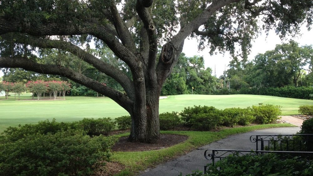 Tony Orlando Halfway House Orlando House Information Center