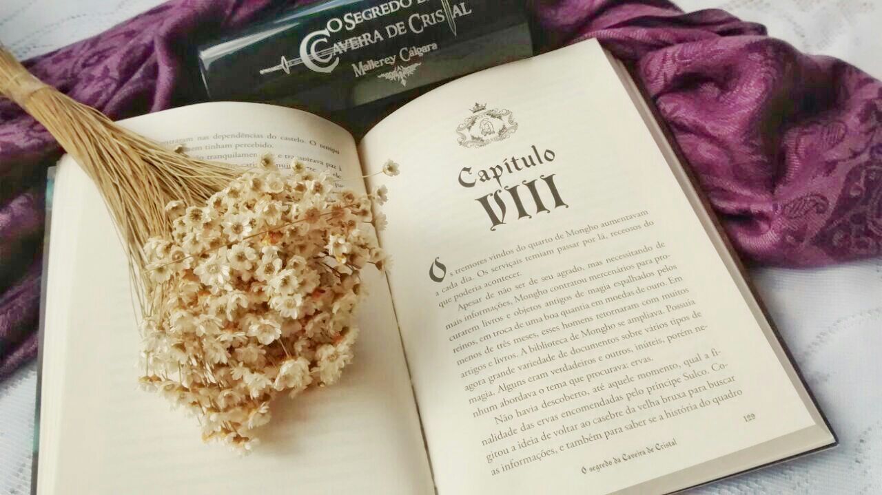 O Segredo Da Caveira De Cristal - Mallerey Cálgara Dica de Leitura O Segredo Da Caveira De Cristal - Mallerey Cálgara
