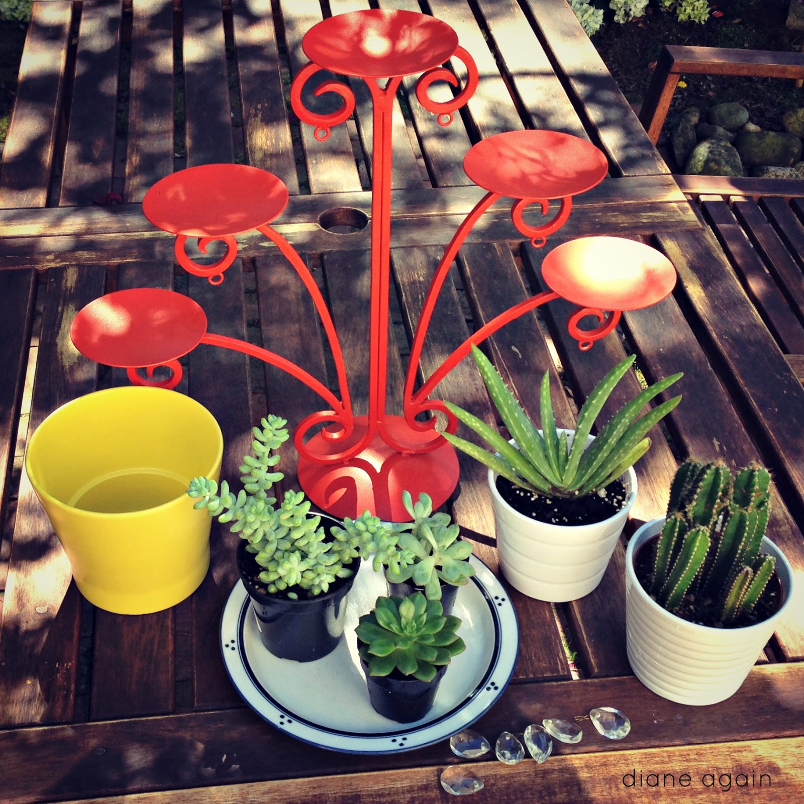 Diane Again Spray Paint And Succulents