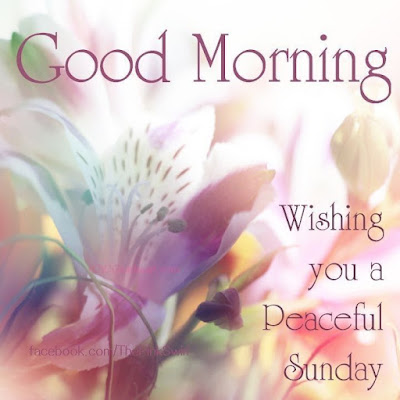 Happy Sunday Image Good Morning Happy Sunday Image Good Morning