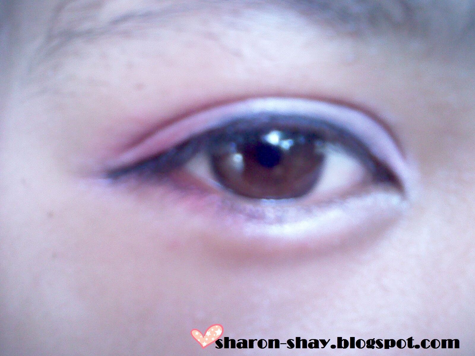 sharon shay: [REVIEW] wardah eye shadow L