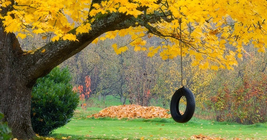 Piccola storia dell’altalena