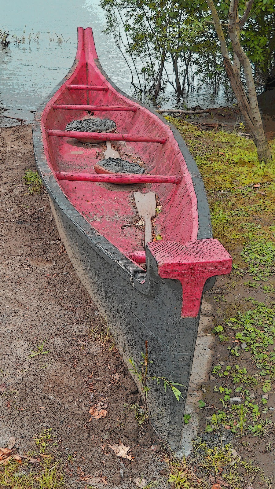 Thom Zehrfeld Photography Dugout Canoes At Capt. William Clark Park