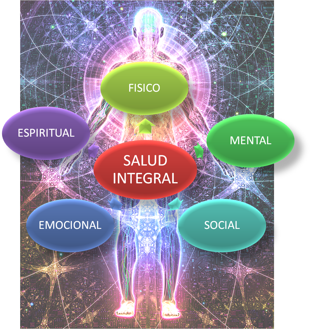Centro Espírita AMOR FRATERNAL MEDICINA HOLISTICA
