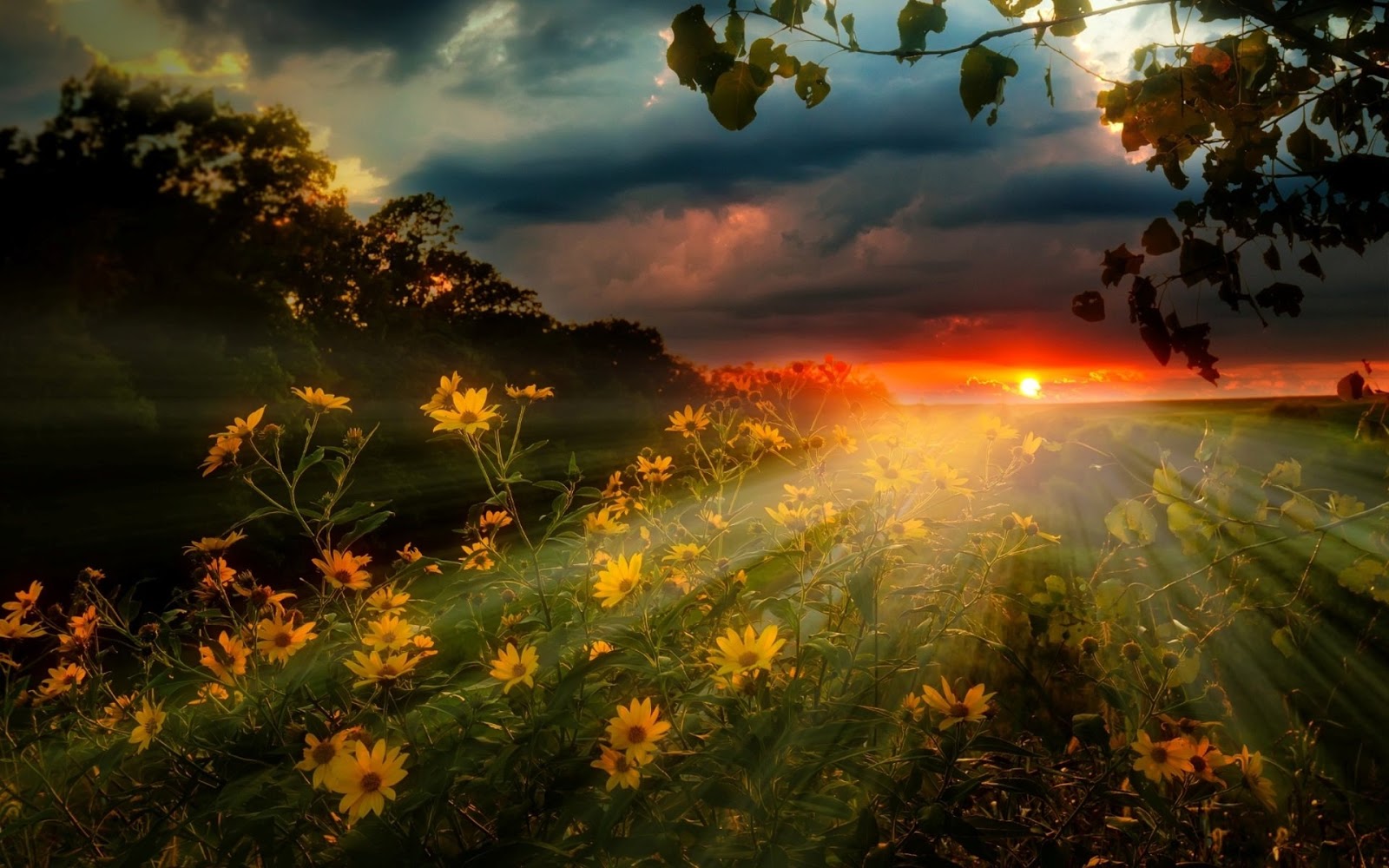 Когда вся долина залилась золотыми лучами заходящего. На восходе солнца. Когда вся долина залилась золотыми лучами заходящего. Телевизор asano 32lf1120t. Рассвет в горах.