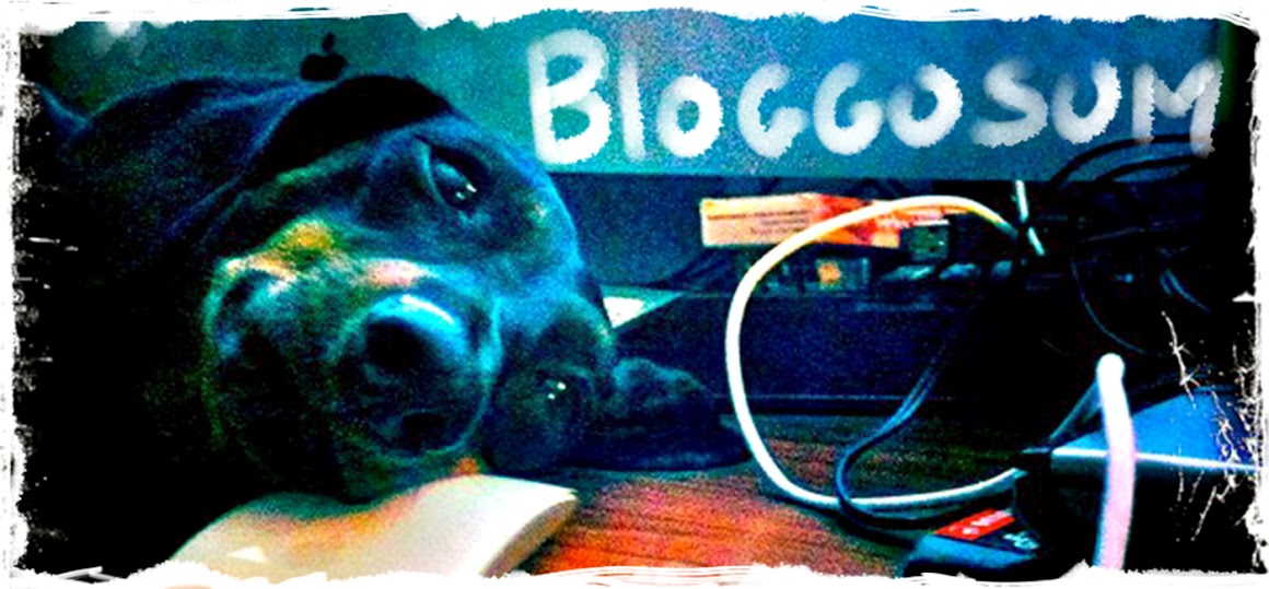 BloggoSum
