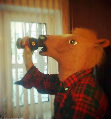 Witziger Mann Pferd trinkt am Morgen Alkohol