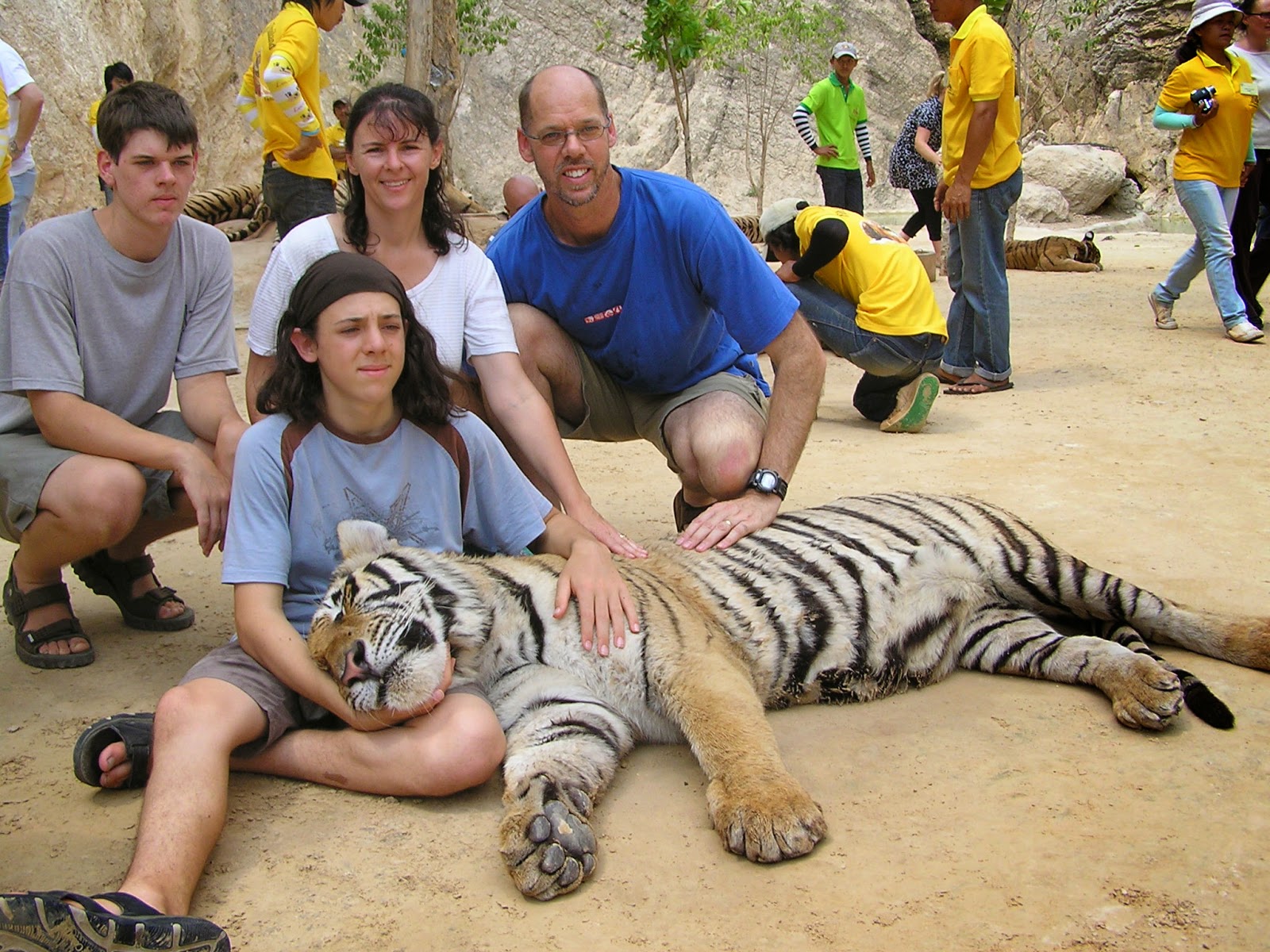 Tiger Temple- Thailand 