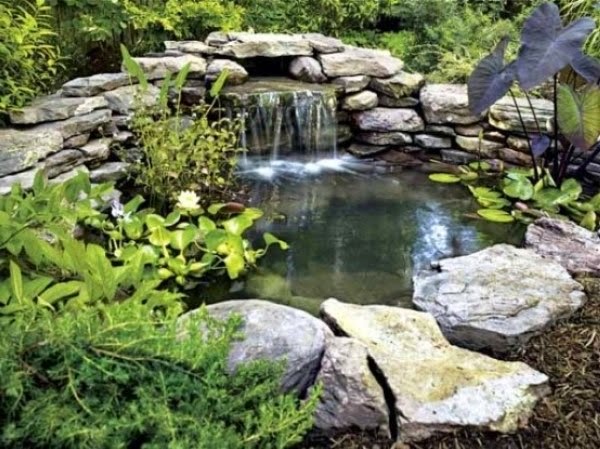 A relaxing garden and backyard waterfalls