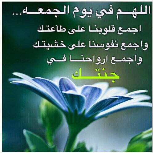 226f7a851f3b55e92e8d37a3bb25dbb5