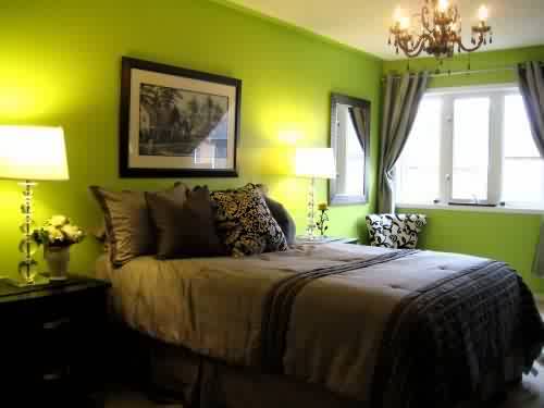 Decor Green جمال اللون الأخضر في الديكور FARISDECOR Decor Green جمال اللون الأخضر في الديكور FARISDECOR