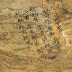 Κίνα: Στο φως αρχαία επιγραφή, σκαλισμένη σε βράχο