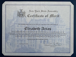 Certificate of Merit - New York State Assembly 11-20-2020