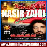 http://ishqehaider.blogspot.com/2013/11/jabir-bangash-nohay-2014.html