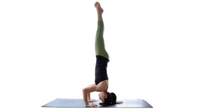 5 Basic Yoga Poses For Beginners 5 Basic Yoga Poses For Beginners