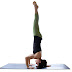 5 Basic Yoga Poses For Beginners