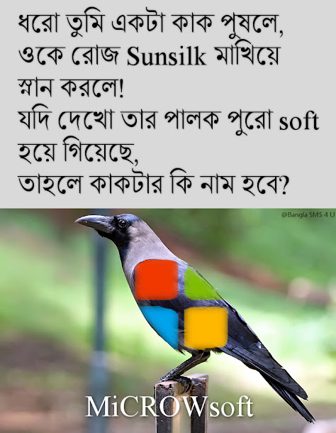 Funny Bengali MEME