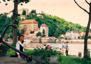 1994年搬家,来到美丽的三条河大学城Passau。(点击图片)