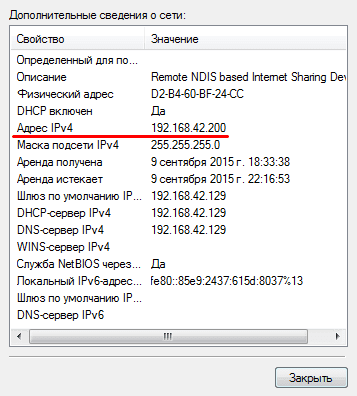 дополнительные сведения о сети информация об ip адресе