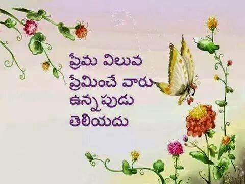 250391_319915994862632_58158189493780564