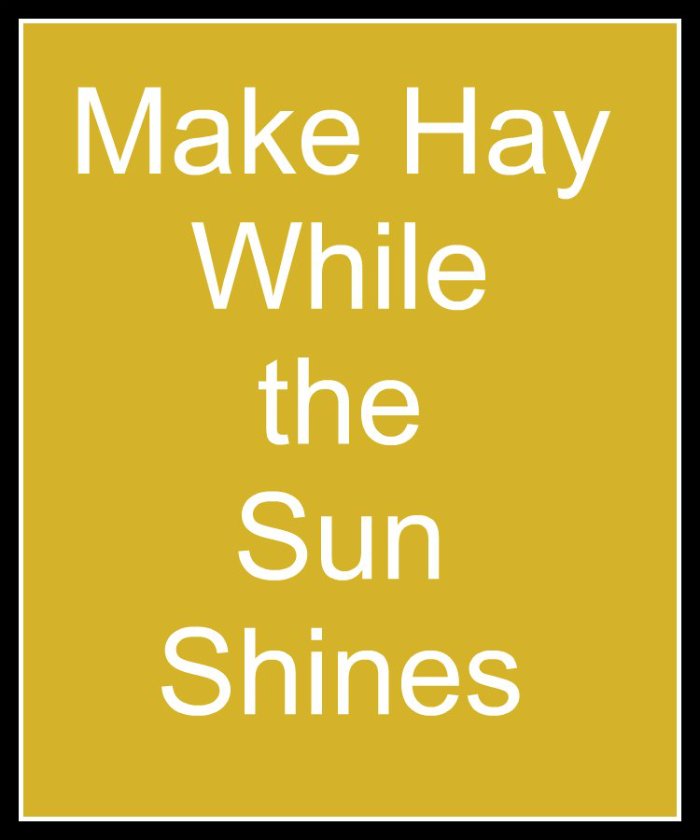 Make hay while the sun shines