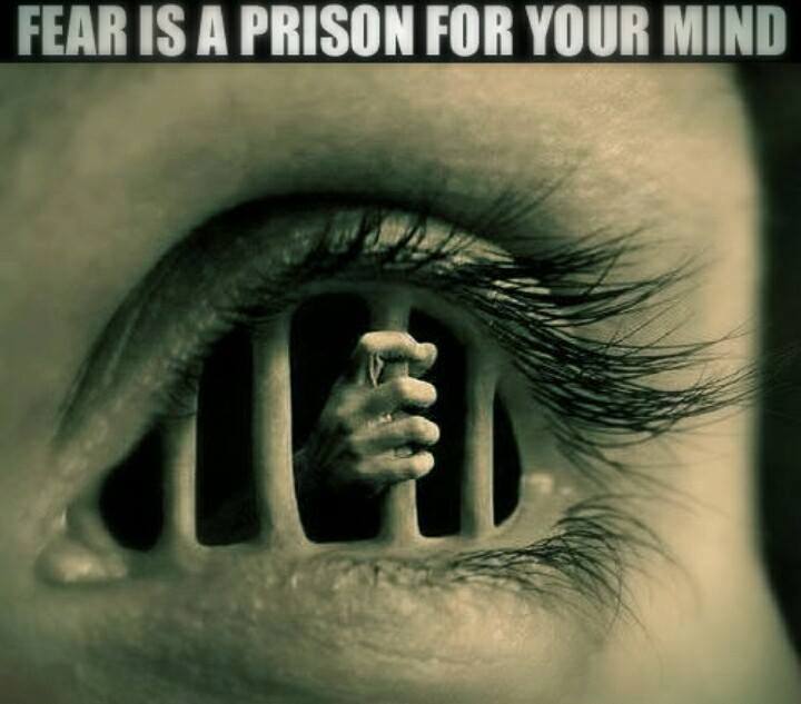 feeling and emotions blogpost 4 fear unpleasant emotion