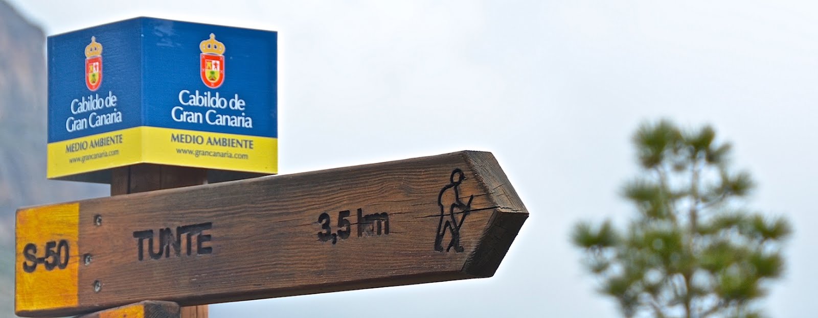 El Camino de Santiago desde Asturias 