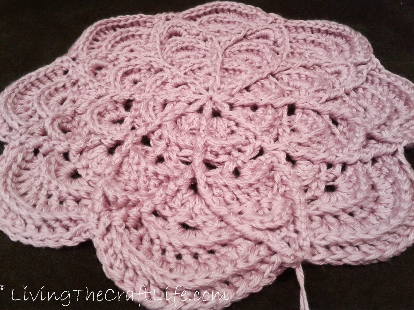 Living the Craft Life Flower Puddles Blanket Pattern Review