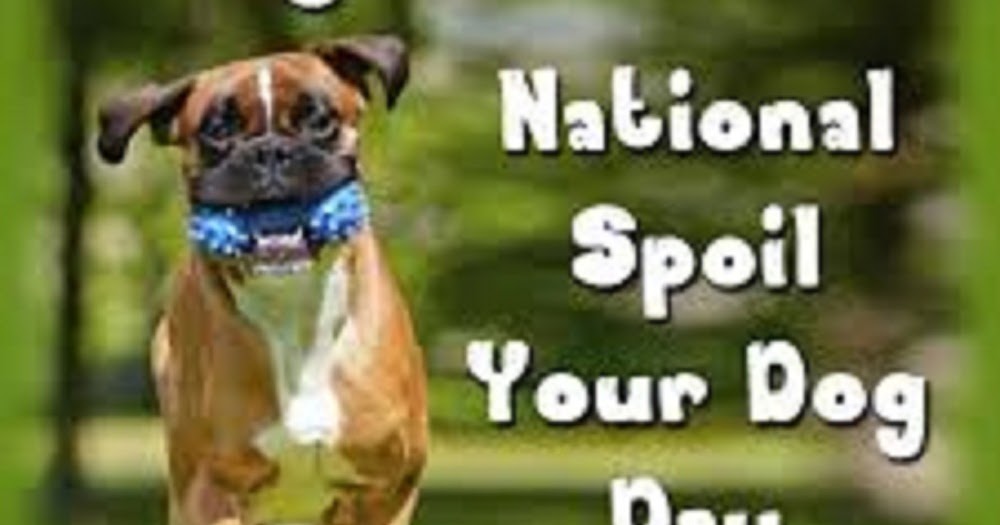 National Spoil Your Dog Day Doglopedix