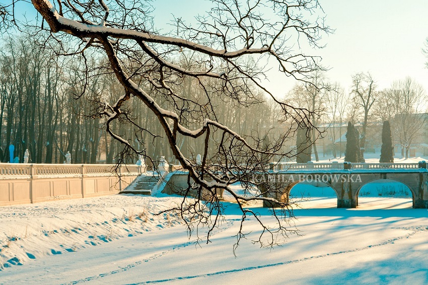 KamilaBorowska%2B%25286%2529.JPG