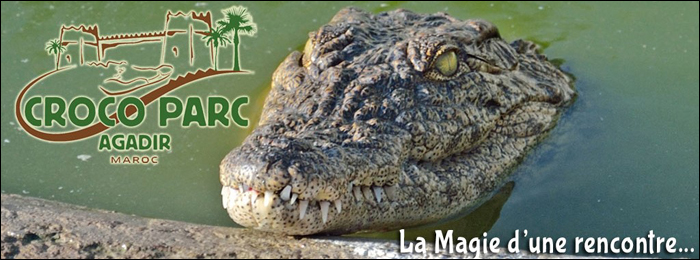 Croco Parc d'Agadir