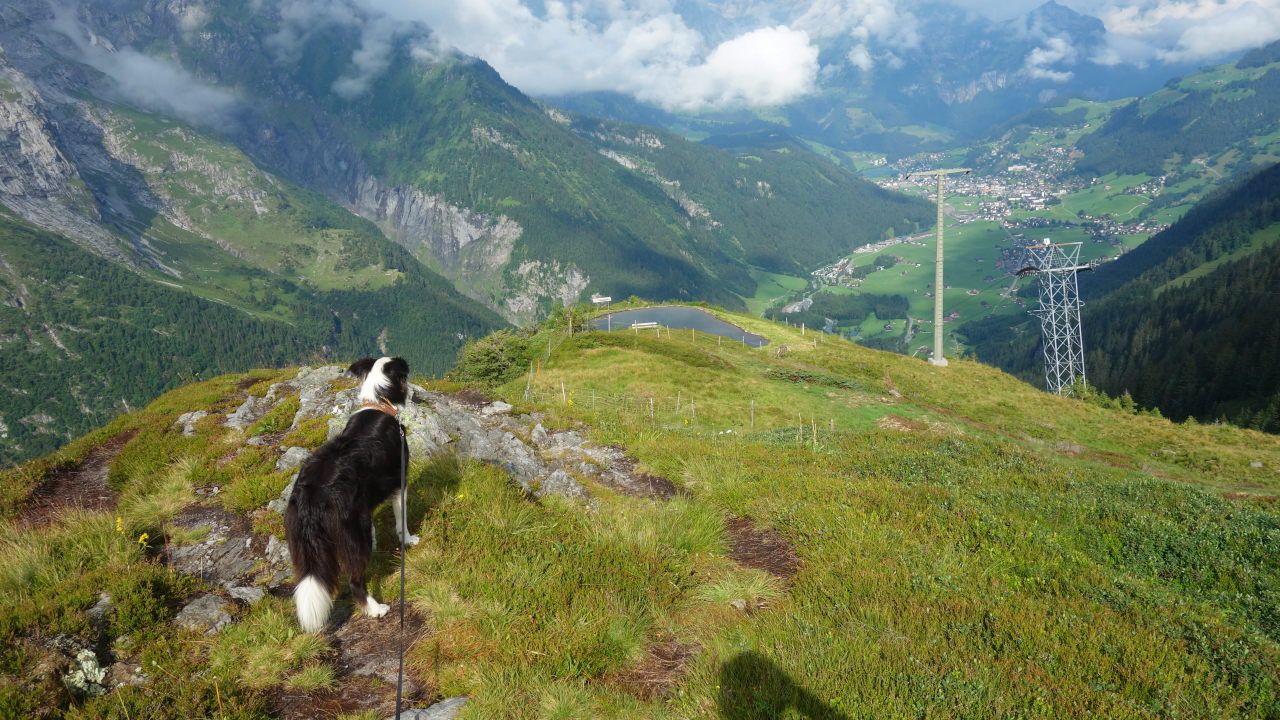 Bilder und Texte zu meinen Wanderungen mit Hund Fürenalp und Stäuber