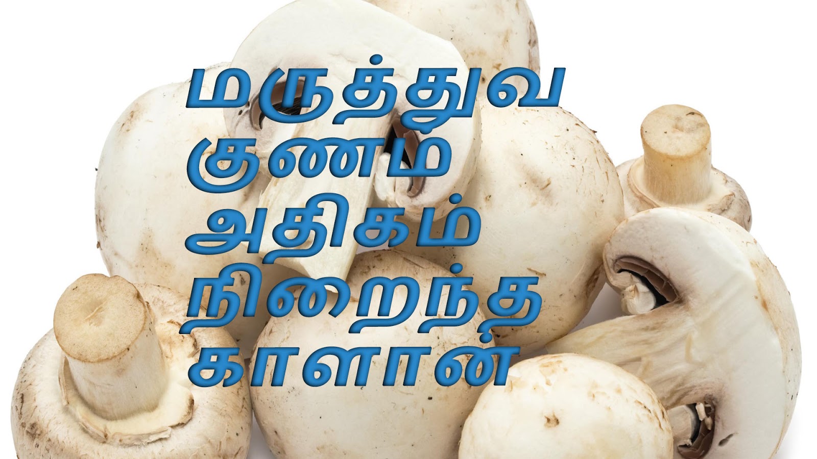 மருத்துவ குணம் அதிகம் நிறைந்த காளான் mushrooms tamil - சியோ தமிழ்