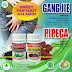 Cara mengobati herpes genital pada kemaluan thumbnail