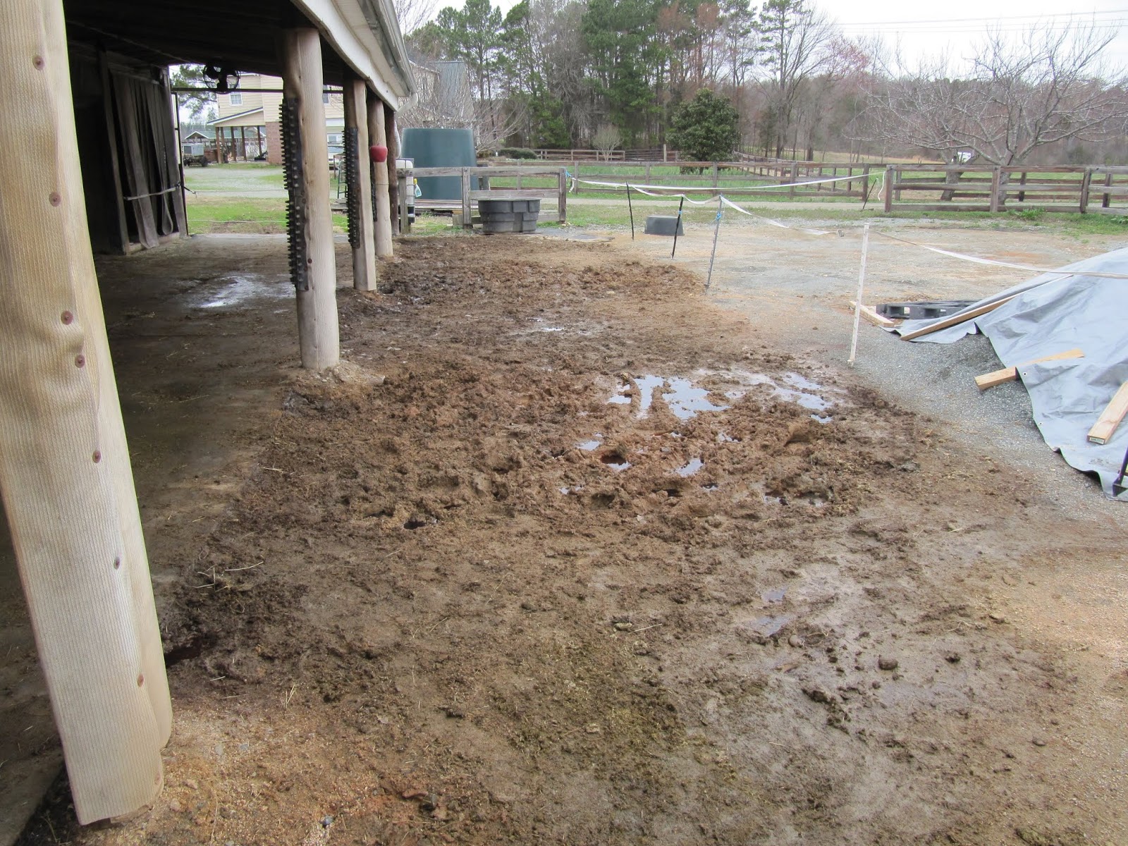 NC Horse Blog Why Install an Equine Dry Lot?