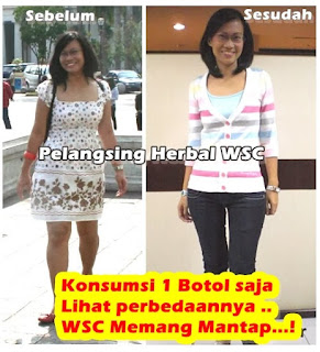 Ramuan Obat Penurun Berat Badan Ramuan Obat Penurun Berat Badan