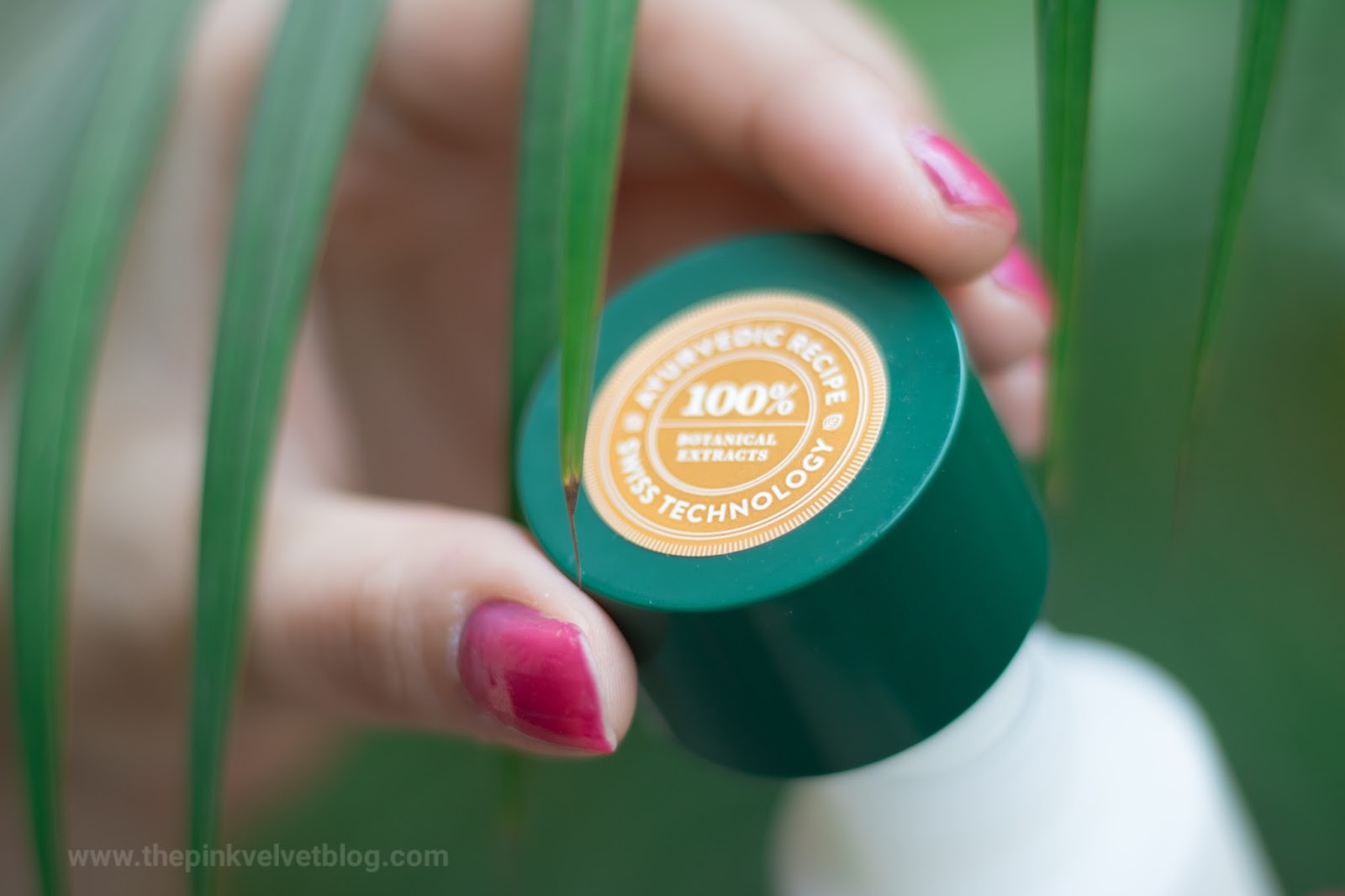 biotique sunscreen spf 30 review