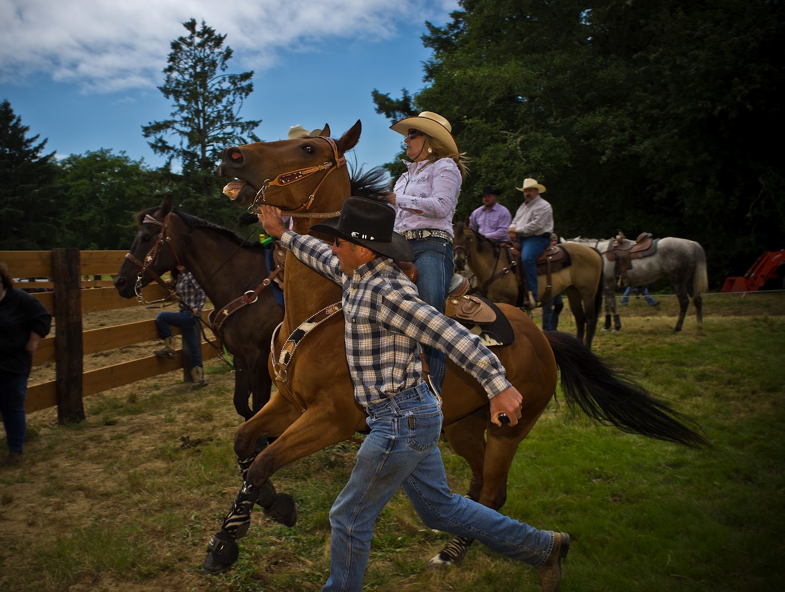 Picture Window photo blog Sand, sun, horses and Finns, Long Beach