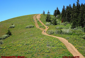 Bald Butte Trail Wild Flower Hike Oregon