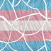 Visibilidade trans: identidades fragmentadas, desestruturadas, desorganizadas e brigando entre si