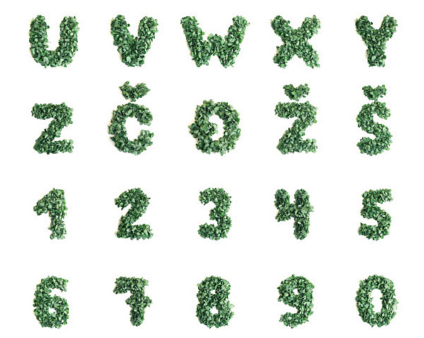 four leaf clover typeface