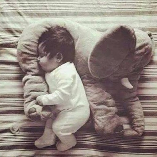 صور بروفايل