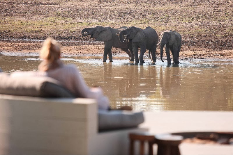 Safari Style Elegantly Simplistic 13 Safari Style Elegantly Simplistic 13