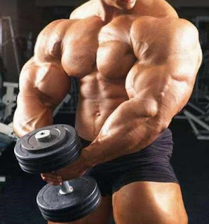 bodybuilding steroids