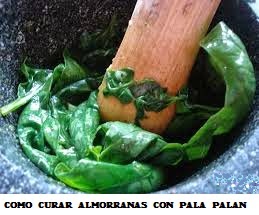 https://comocuraralmorranas.blogspot.com como-curar-almorranas-en-muy-pocas-horas