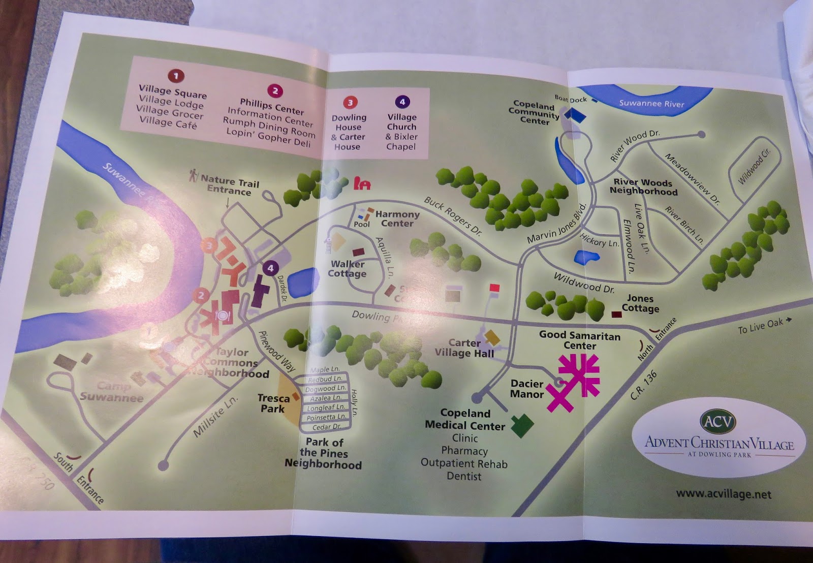 Where's Liz? 2017 Dowling Park, FL...where I'll retire after RVing