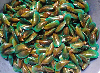 Kerang Hijau