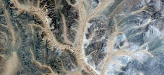 Allegory of spooky forest with green, blue and yellow branches life, photography of abstract landscapes of deserts of Africa from the air, collection of Abstract Naturalism Munimara Allegory of spooky forest with green, blue and yellow branches life, photography of abstract landscapes of deserts of Africa from the air,