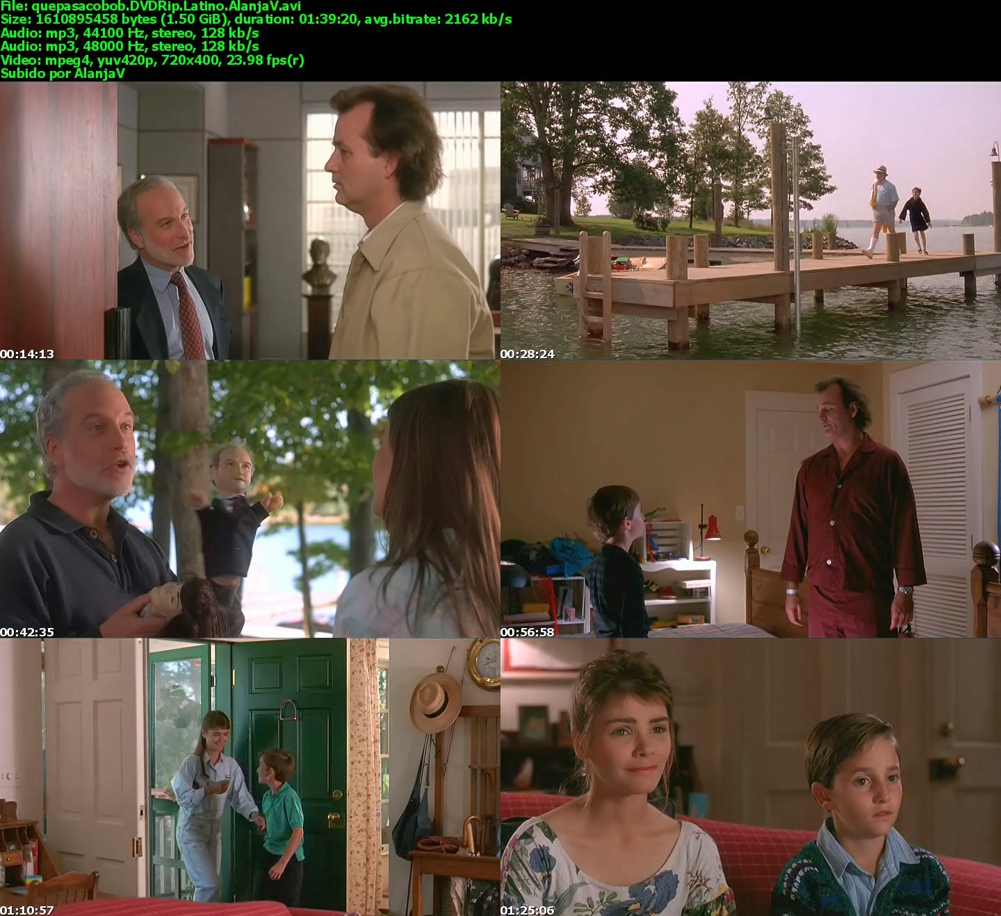 quepasacobob.DVDRip.Latino.AlanjaV_s.jpg