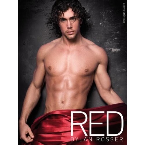 [ dylan rosser, "red" ]